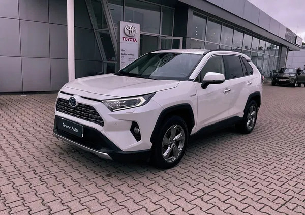 toyota Toyota RAV4 cena 161900 przebieg: 43993, rok produkcji 2019 z Koluszki